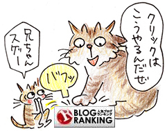 hatsu_151204.jpg